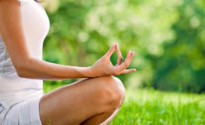 Salon Zen et Bio