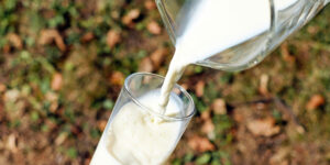 lait